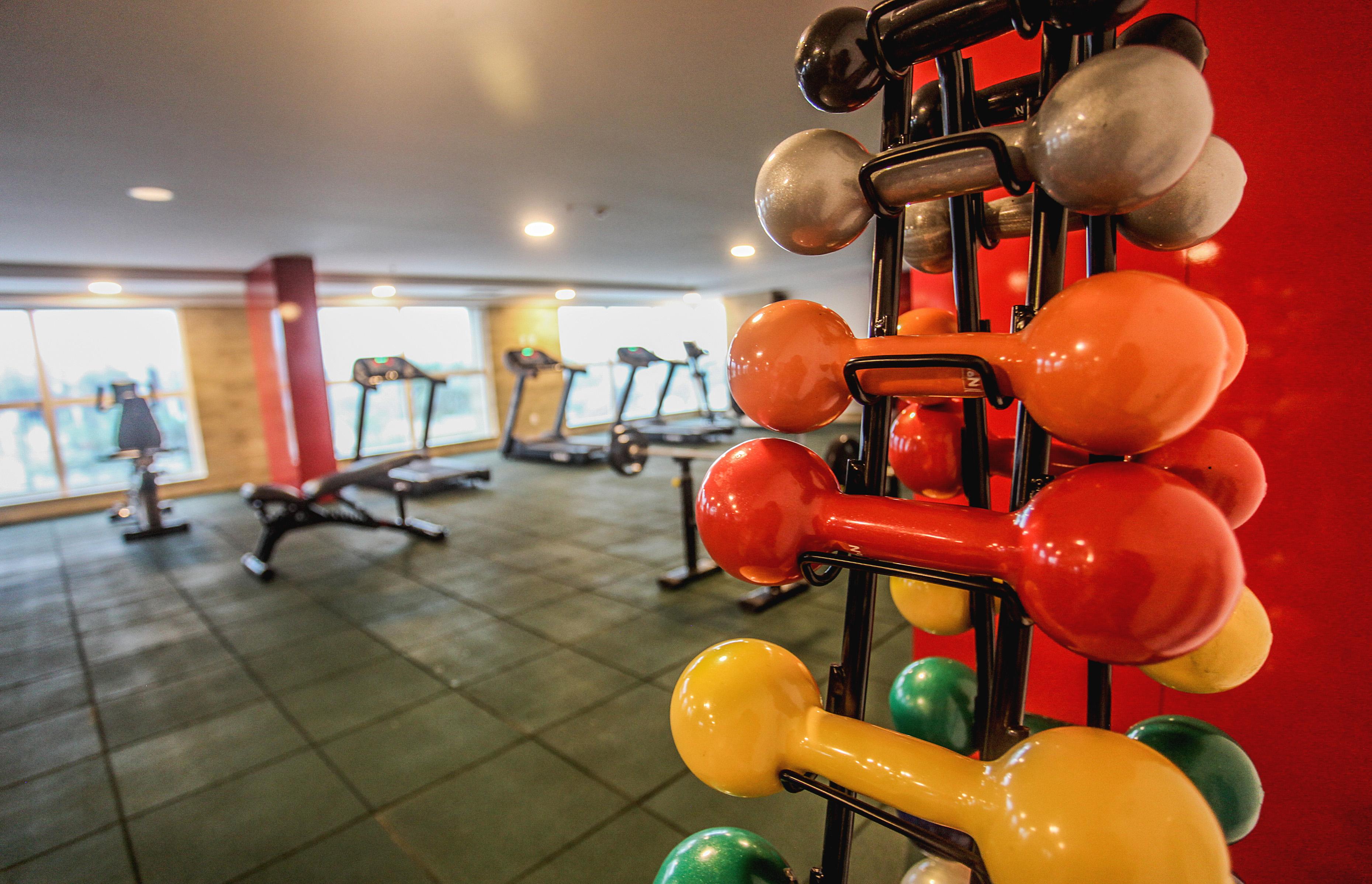 פורטאלזה Gran Mareiro Hotel מראה חיצוני תמונה A dumbbell tree