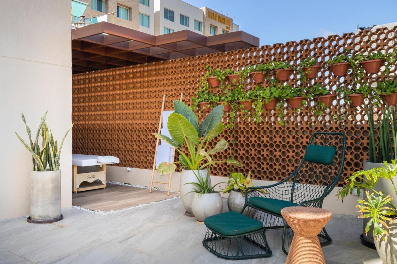פורטאלזה Gran Mareiro Hotel מראה חיצוני תמונה A rooftop garden in Mexico City